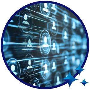 6F Customer Insights image